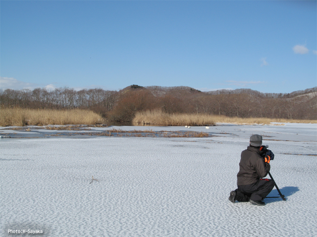 ＶＩＮＺ　雪景色撮影・活動風景　北海道　釧路湿原